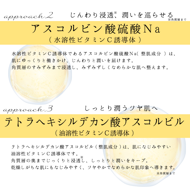 水溶性・油溶性ビタミン